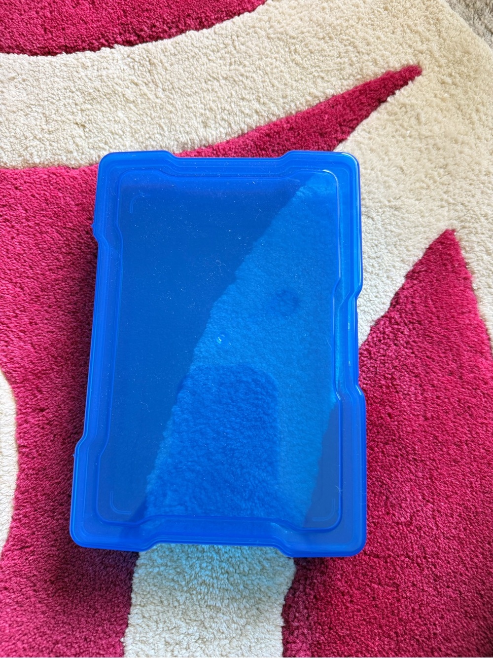 Blue Plastic Storage Tray